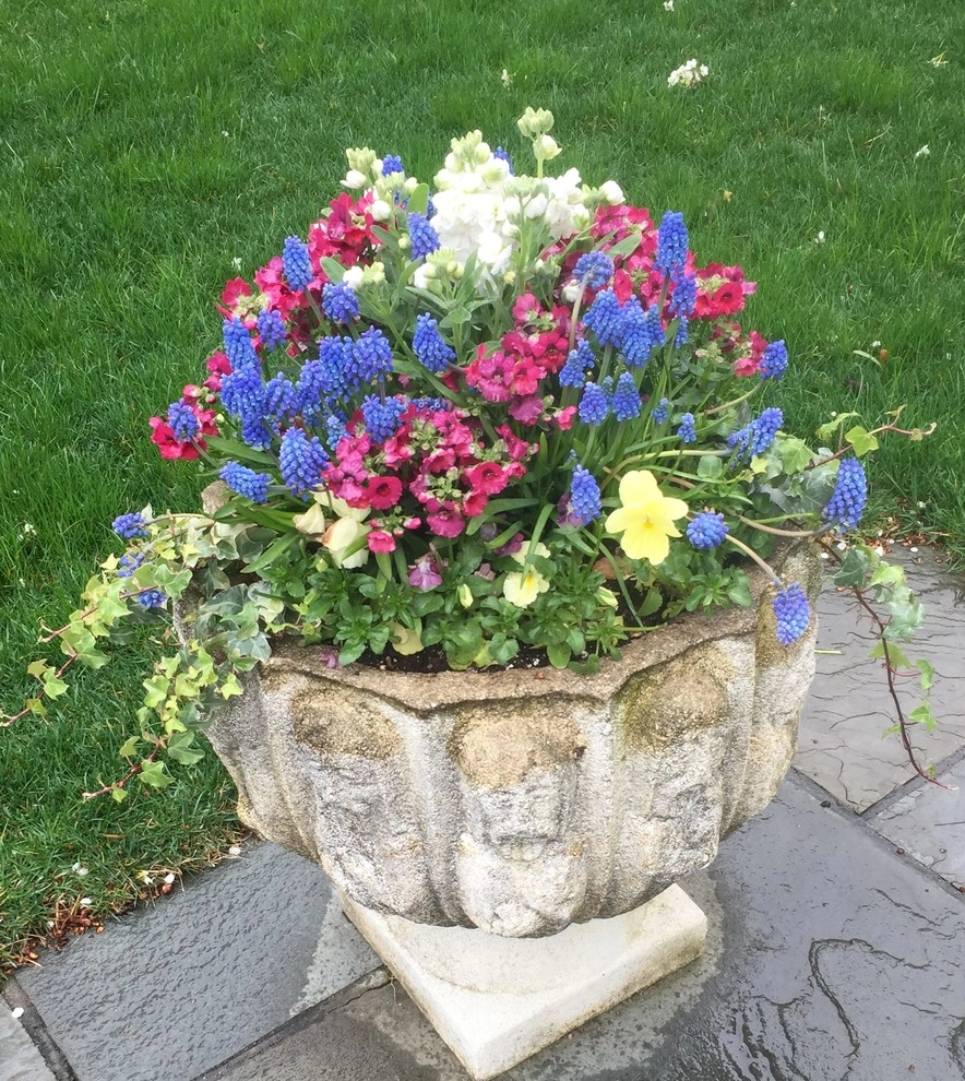 Seasonal Color by Gro Pro Landscape Company Inc. - Photo 13