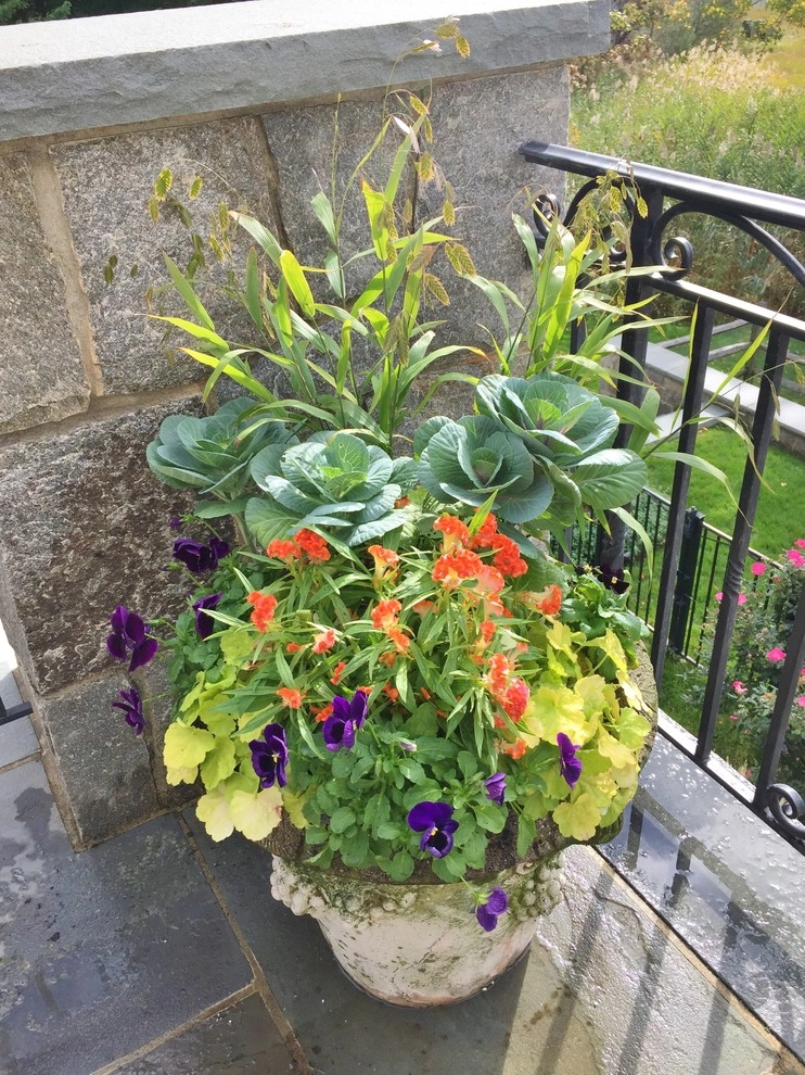 Seasonal Color by Gro Pro Landscape Company Inc. - Photo 26