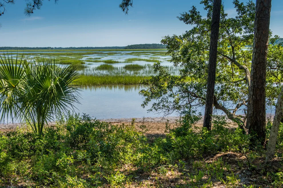 Callawassie Island Serenity by Coastal Signature Homes - Photo 12