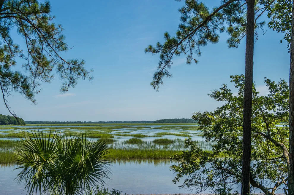 Callawassie Island Serenity by Coastal Signature Homes - Photo 27