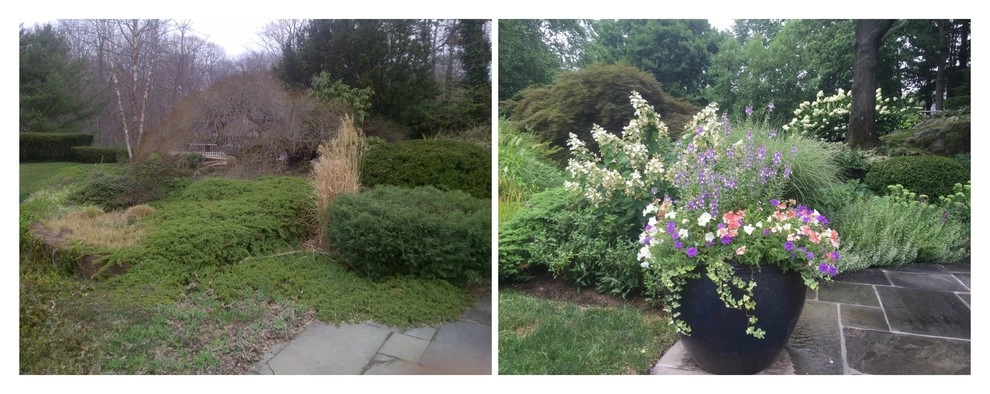 Before & After by Gro Pro Landscape Company Inc. - Photo 2