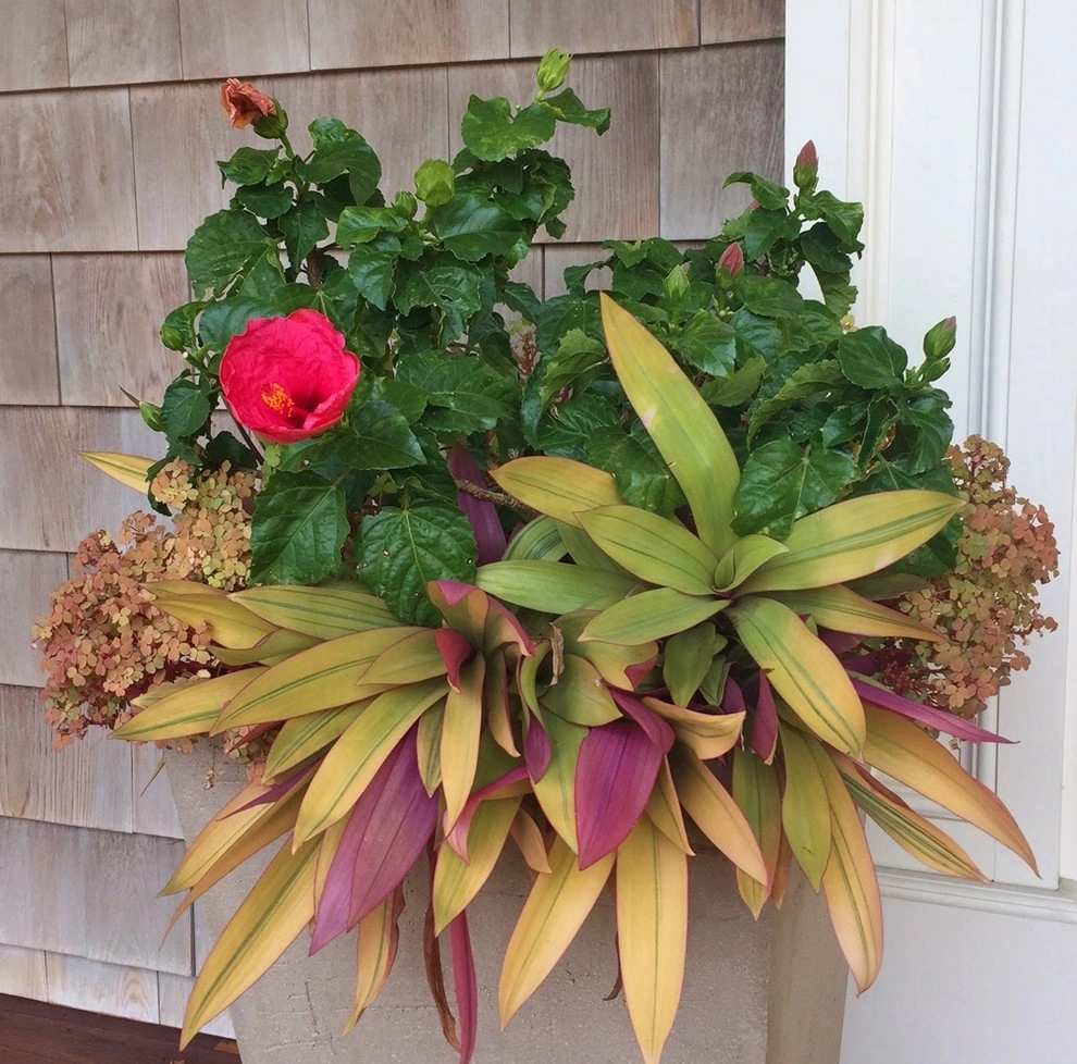 Seasonal Color by Gro Pro Landscape Company Inc. - Photo 14