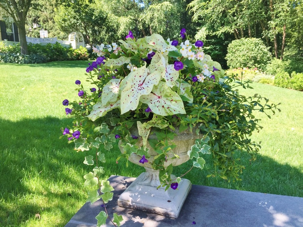Seasonal Color by Gro Pro Landscape Company Inc. - Photo 30