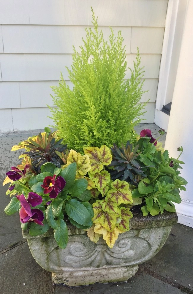 Seasonal Color by Gro Pro Landscape Company Inc. - Photo 46