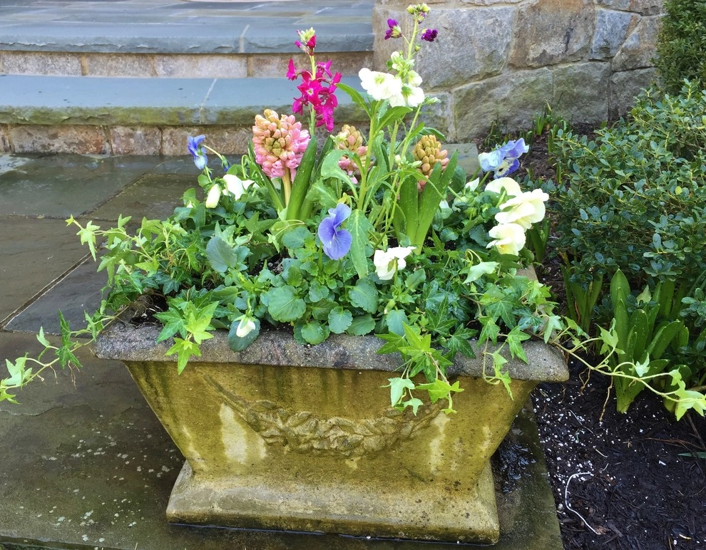 Seasonal Color by Gro Pro Landscape Company Inc. - Photo 23