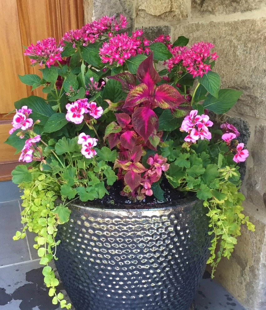 Seasonal Color by Gro Pro Landscape Company Inc. - Photo 62