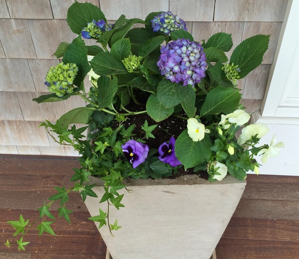 Seasonal Color by Gro Pro Landscape Company Inc. - Photo 42