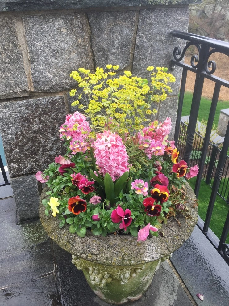 Seasonal Color by Gro Pro Landscape Company Inc. - Photo 21