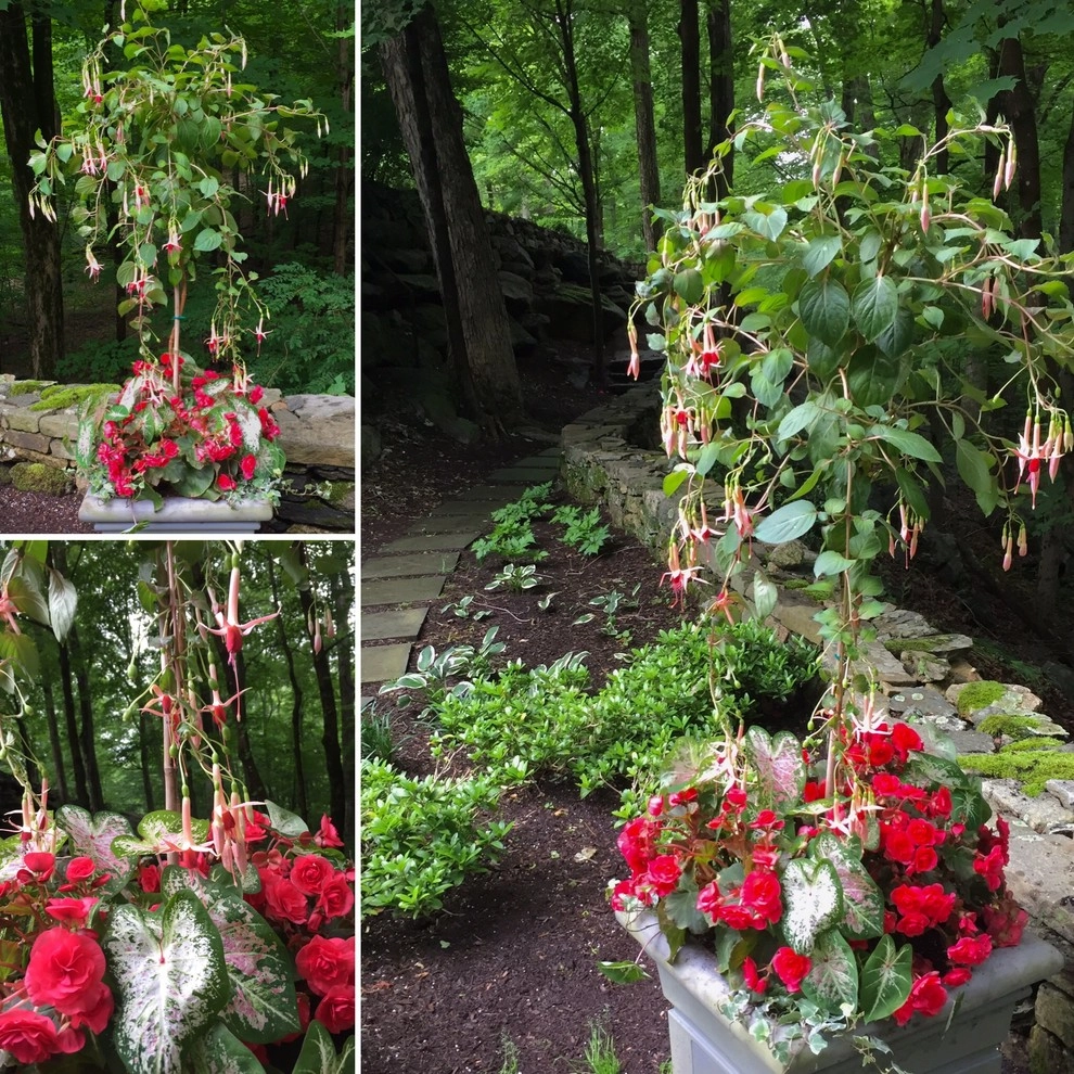 Seasonal Color by Gro Pro Landscape Company Inc. - Photo 18