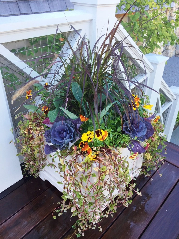 Seasonal Color by Gro Pro Landscape Company Inc. - Photo 28