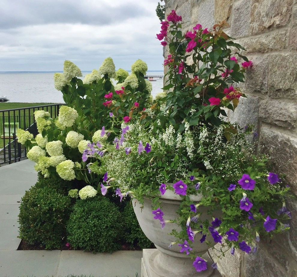 Seasonal Color by Gro Pro Landscape Company Inc. - Photo 52