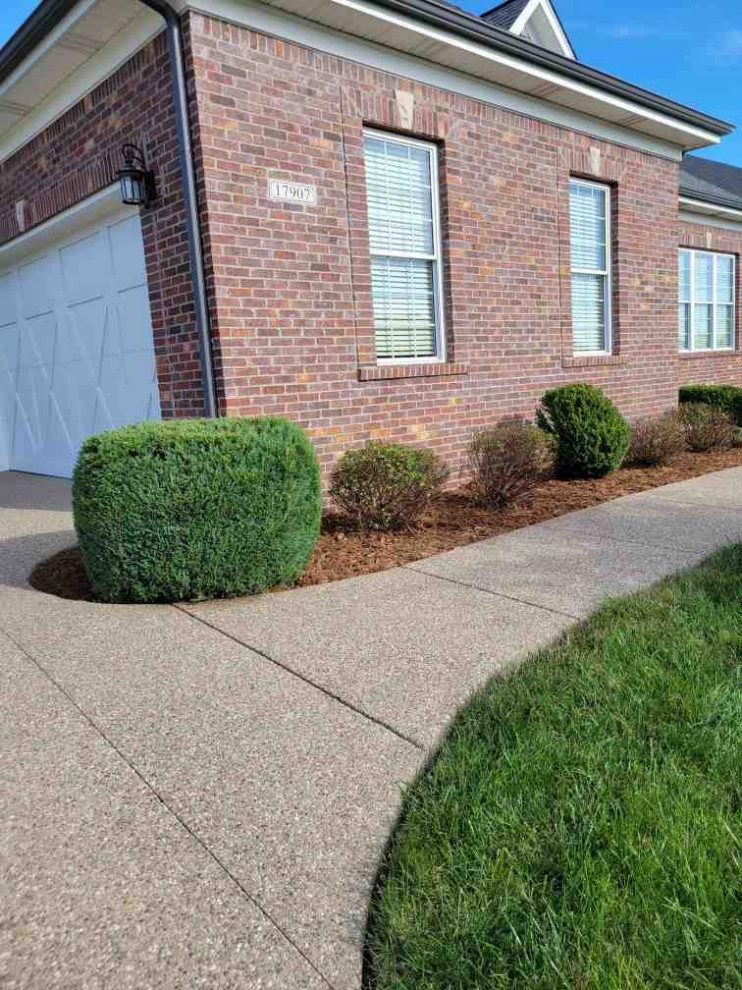 Alberto Alavez Professional Lawn Services LLC 6 by Alberto Alavez Professional Lawn Services LLC - Photo 21