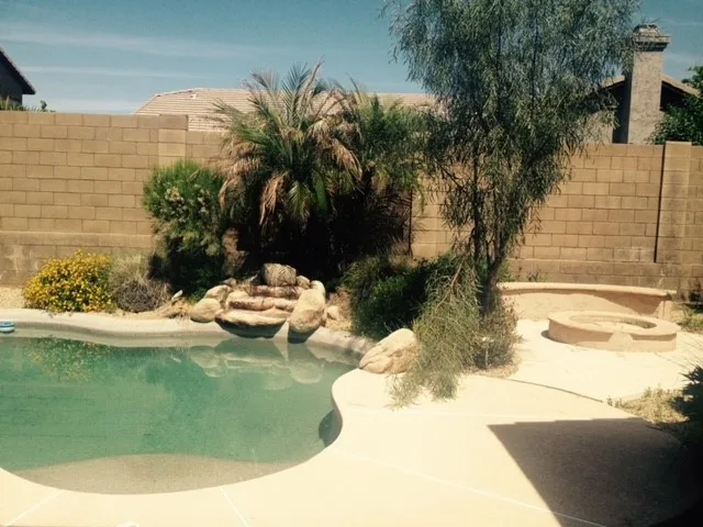 Outdoor Space Transformation with Pool by Lakeview Living LLC - Photo 11