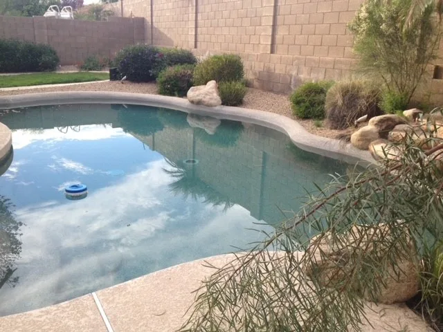 Outdoor Space Transformation with Pool by Lakeview Living LLC - Photo 8