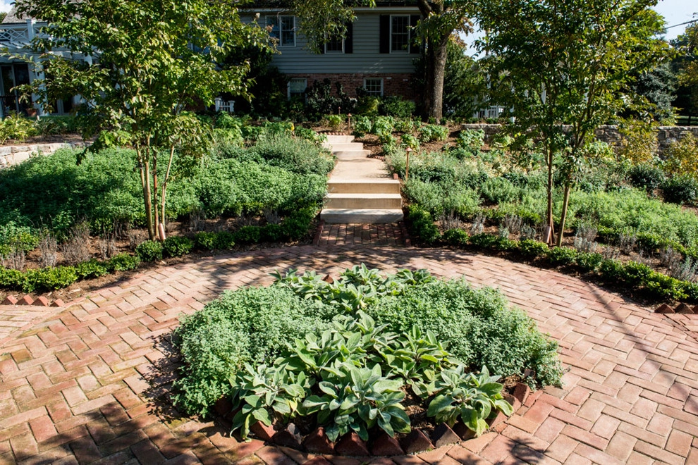 Herb Garden by Grounded - Photo 2
