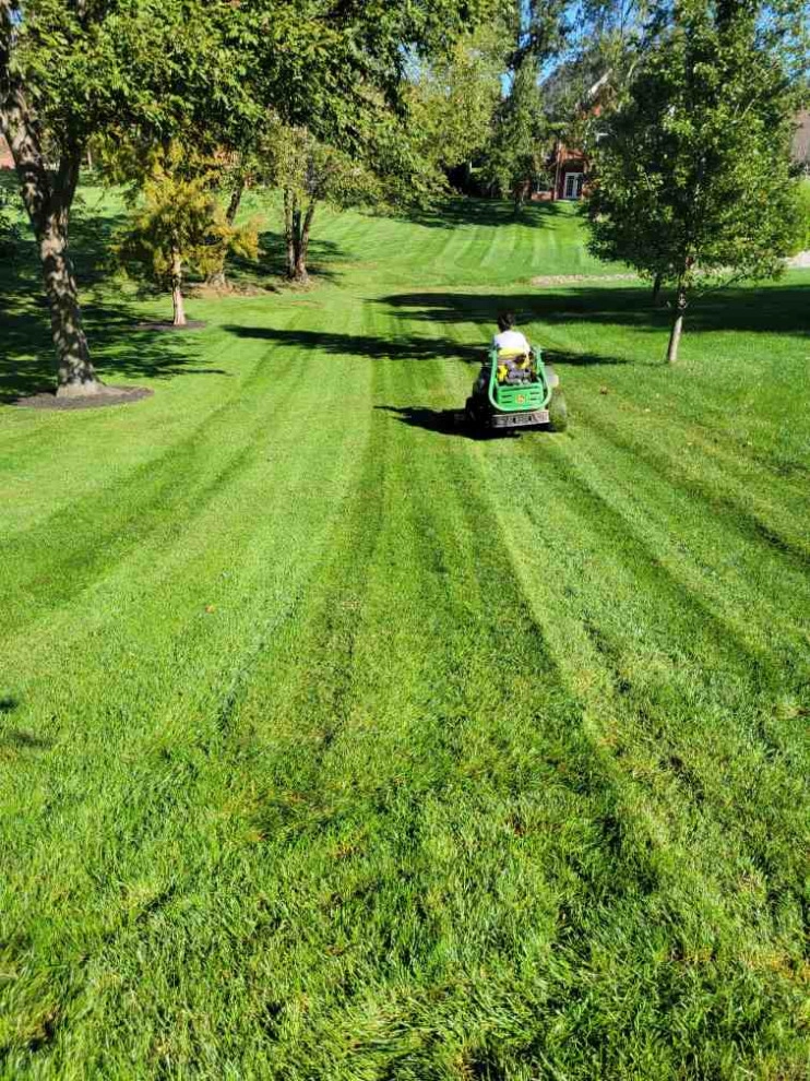 Alberto Alavez Professional Lawn Services LLC 6 by Alberto Alavez Professional Lawn Services LLC - Photo 22