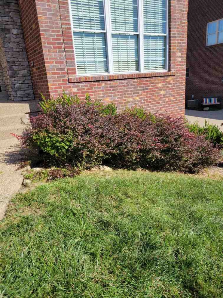 Alberto Alavez Professional Lawn Services LLC 6 by Alberto Alavez Professional Lawn Services LLC - Photo 25
