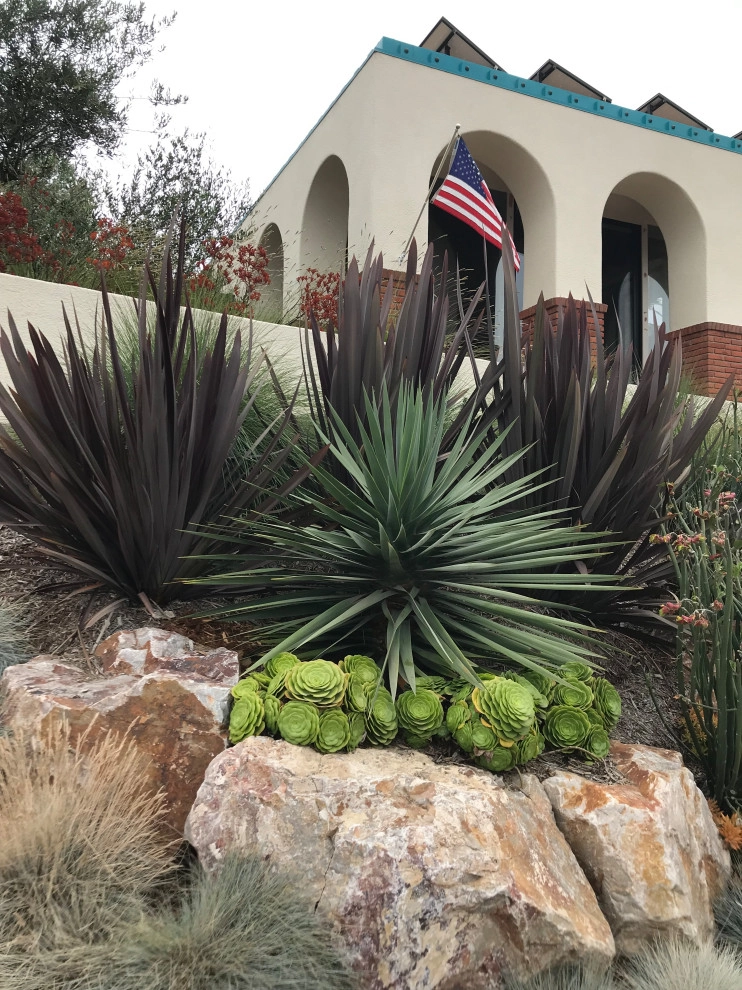 La Jolla Slope Planting by Groundswell Landscaping - Photo 2