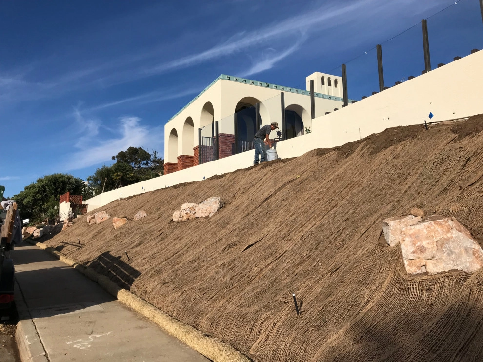 La Jolla Slope Planting by Groundswell Landscaping - Photo 6