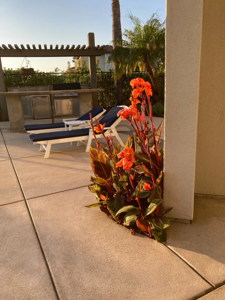 Encinitas Front Yard by Groundswell Landscaping - Photo 6