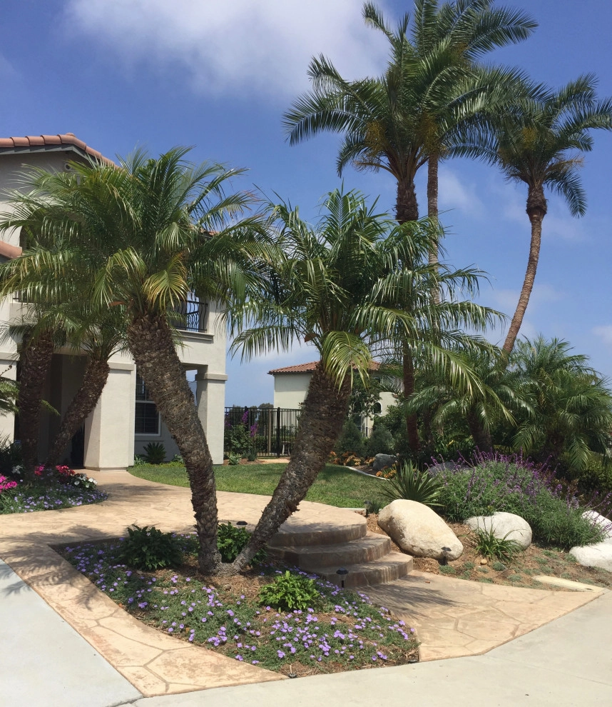 Encinitas Front Yard by Groundswell Landscaping - Photo 8