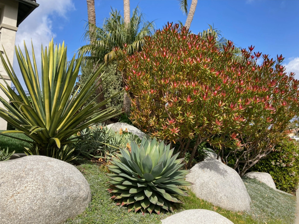 Encinitas Front Yard by Groundswell Landscaping - Photo 10