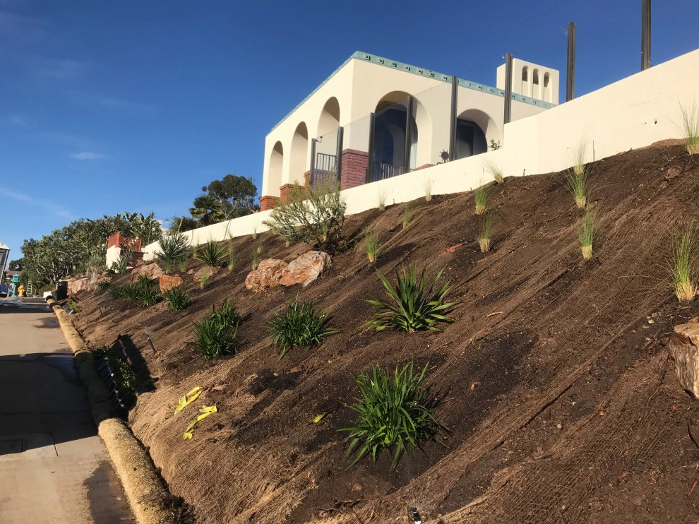 La Jolla Slope Planting by Groundswell Landscaping - Photo 3