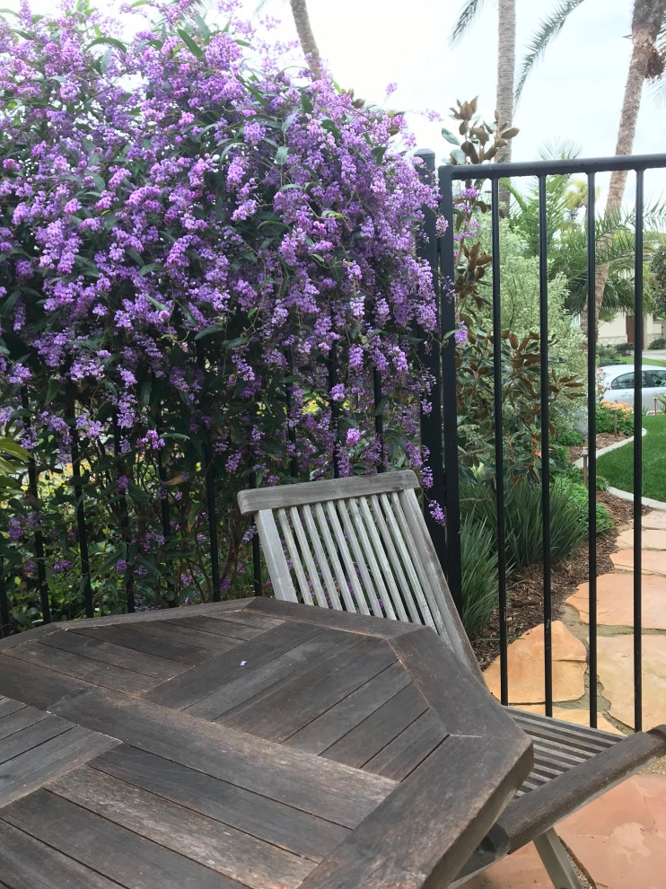 Encinitas Front Yard by Groundswell Landscaping - Photo 3