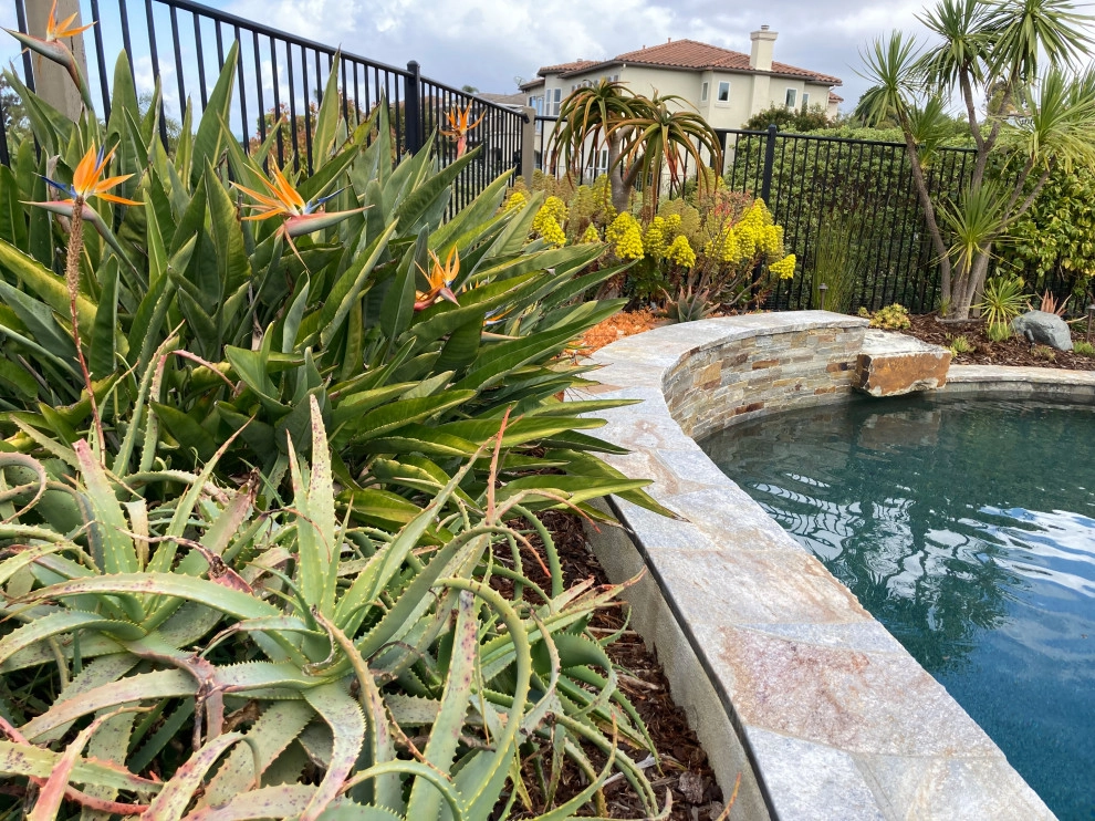 Encinitas Front Yard by Groundswell Landscaping - Photo 5