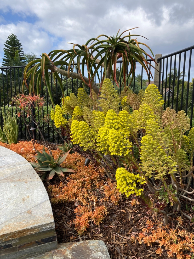 Encinitas Front Yard by Groundswell Landscaping - Photo 2