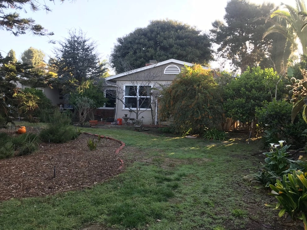 Encinitas naturalistic front yard by Groundswell Landscaping - Photo 2