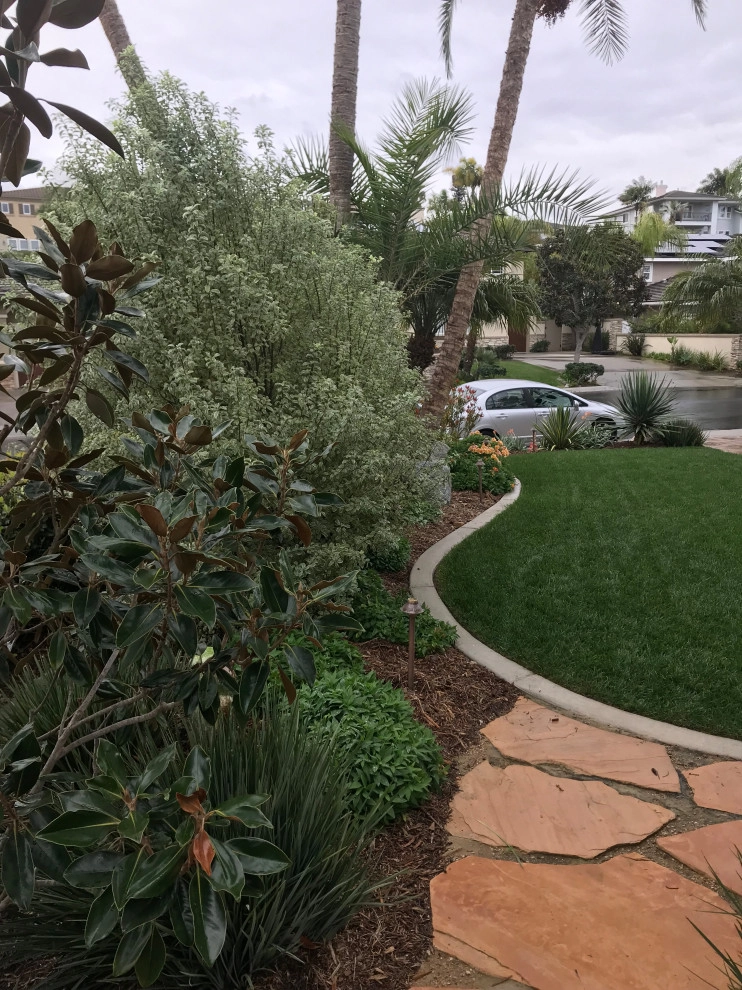 Encinitas Front Yard by Groundswell Landscaping - Photo 4