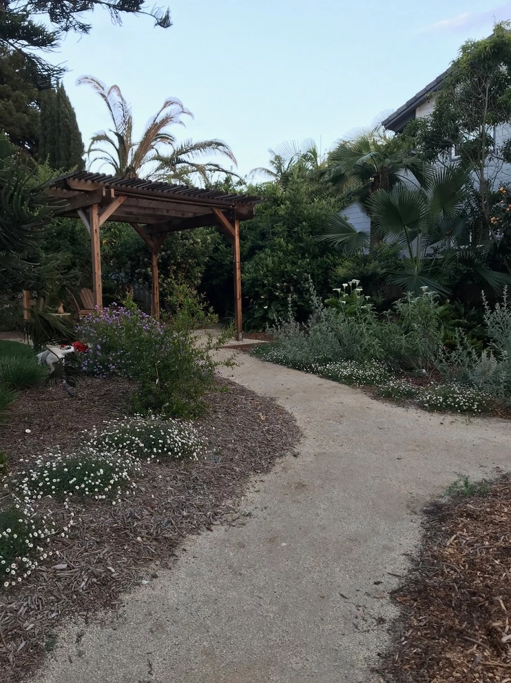 Encinitas naturalistic front yard by Groundswell Landscaping - Photo 3