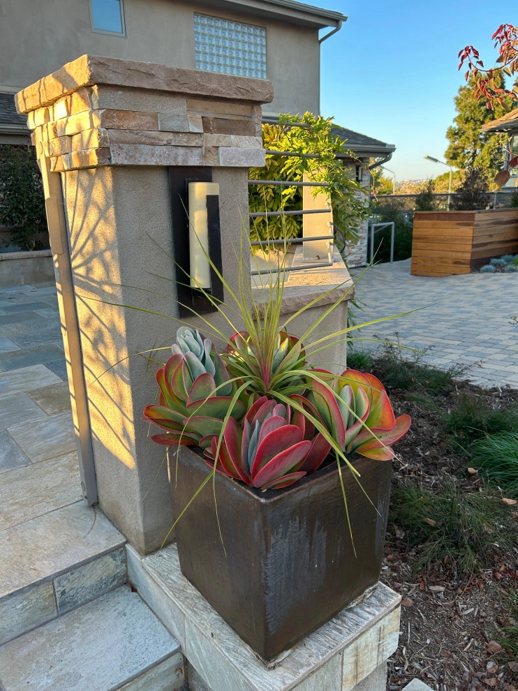 Leucadia Outdoor Living by Groundswell Landscaping - Photo 4
