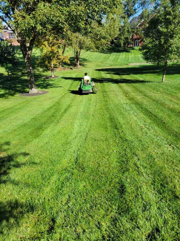 Alberto Alavez Professional Lawn Services LLC 6 by Alberto Alavez Professional Lawn Services LLC - Photo 7