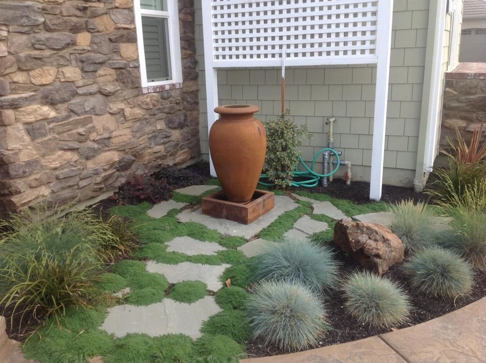 Santa Rosa Drought Tolerant Lawn Replacement by Hall Landscape Design - Photo 2