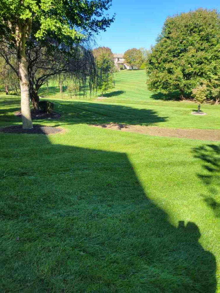 Alberto Alavez Professional Lawn Services LLC 6 by Alberto Alavez Professional Lawn Services LLC - Photo 2