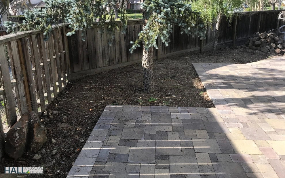 Gorgeous new patio by Hall Landscape Design - Photo 13