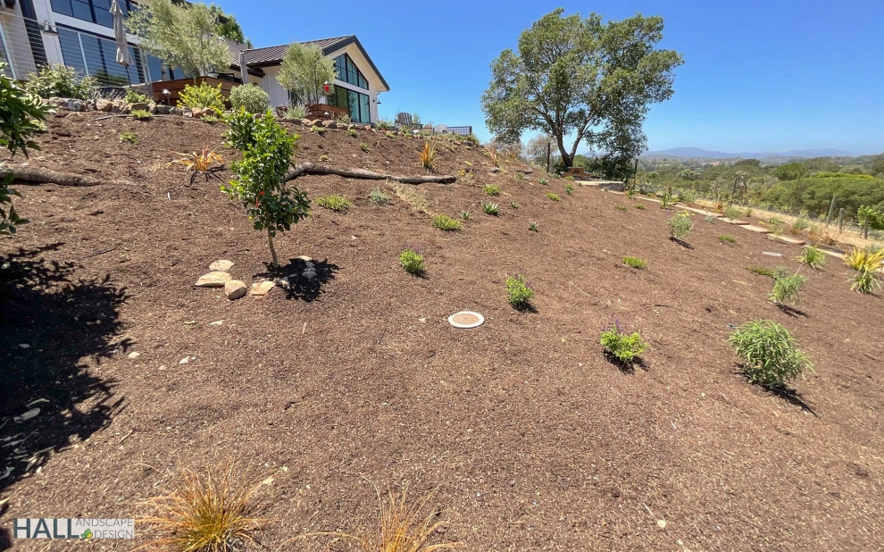 Sweeping views for this natural landscape design by Hall Landscape Design - Photo 5