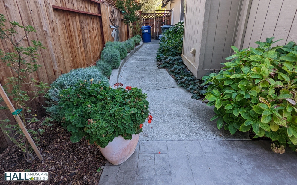 Fresh new patio, with new outdoor kitchen by Hall Landscape Design - Photo 10