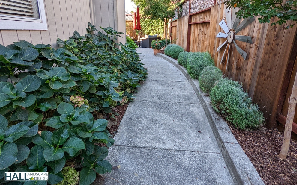 Fresh new patio, with new outdoor kitchen by Hall Landscape Design - Photo 3