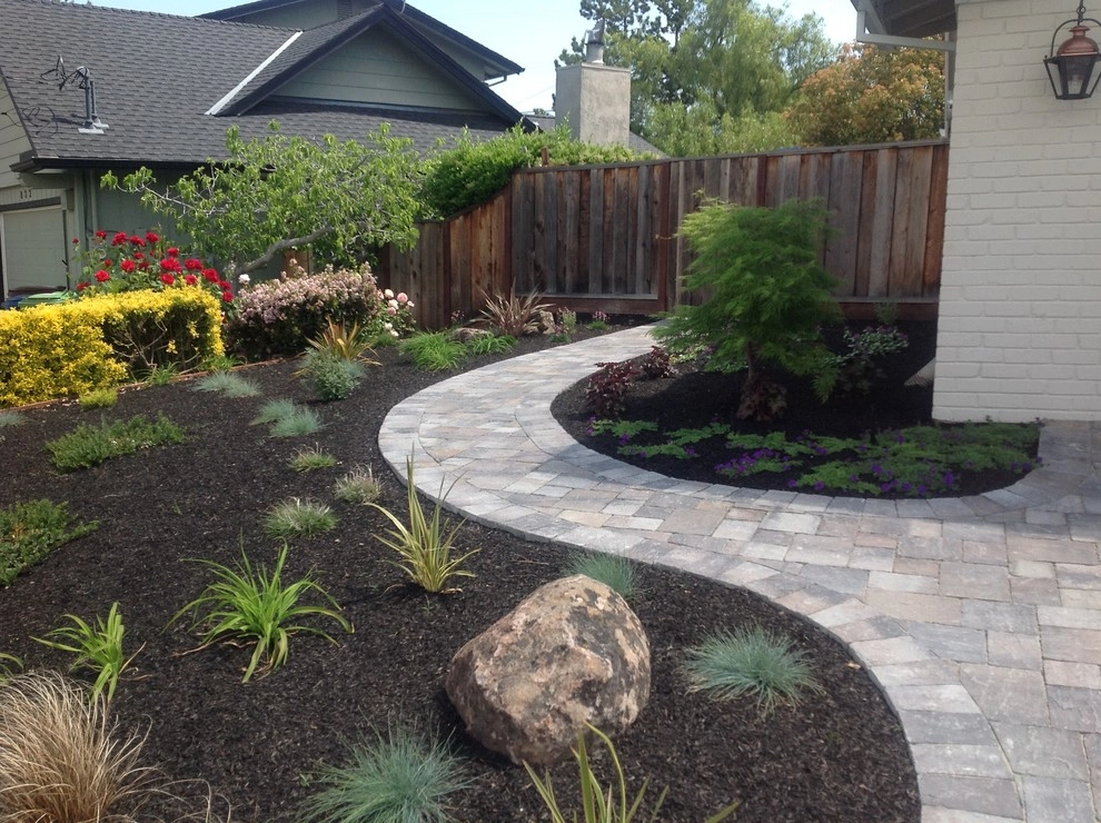 Petaluma Lawn Replacement by Hall Landscape Design - Photo 8