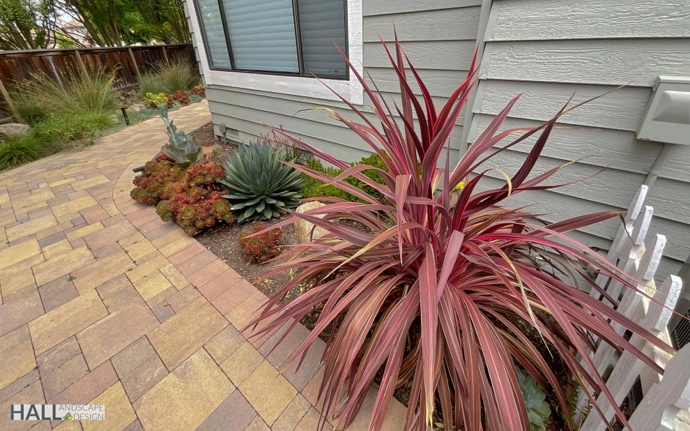Gorgeous new patio by Hall Landscape Design - Photo 15