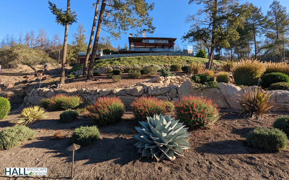 Hall Landscape Design - Photo 8