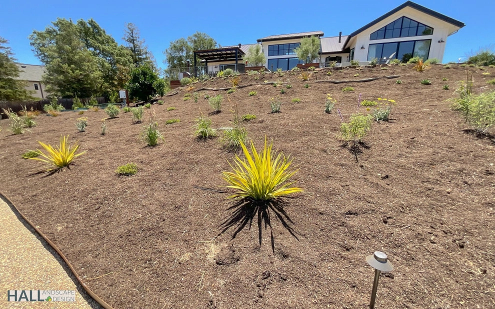 Sweeping views for this natural landscape design by Hall Landscape Design - Photo 20