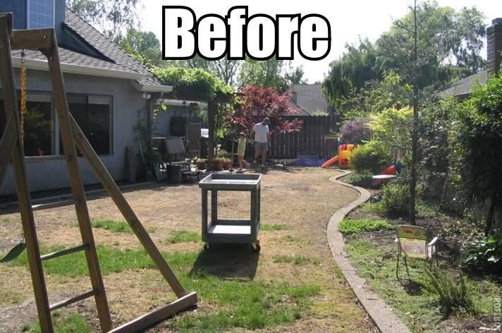Sonoma Lawn Replacement by Hall Landscape Design - Photo 5