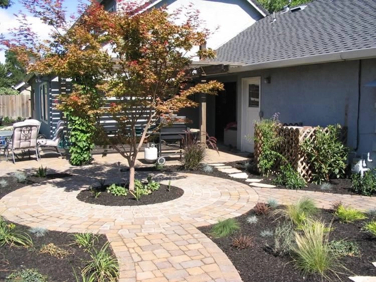 Sonoma Lawn Replacement by Hall Landscape Design - Photo 2