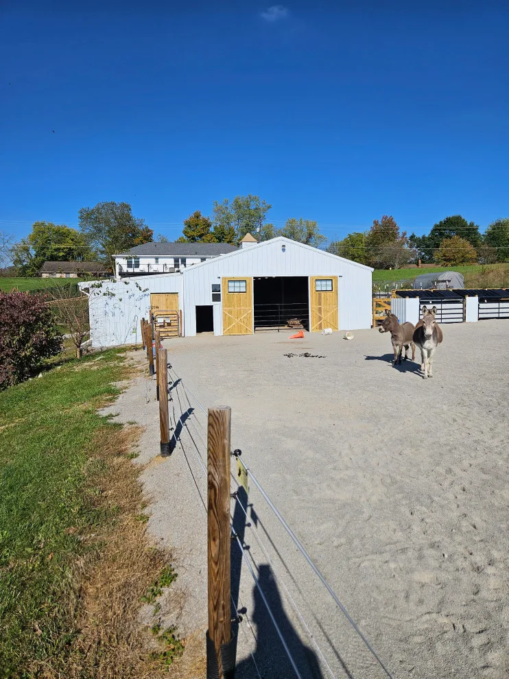 Barn Renovations by Next Project Renovations - Photo 17