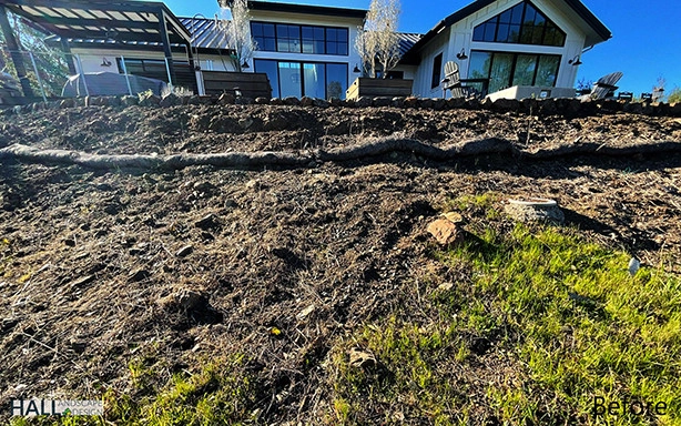 Sweeping views for this natural landscape design by Hall Landscape Design - Photo 18