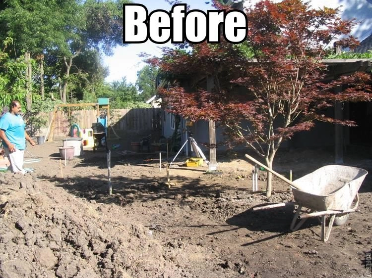 Sonoma Lawn Replacement by Hall Landscape Design - Photo 3
